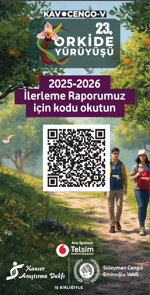 kav261